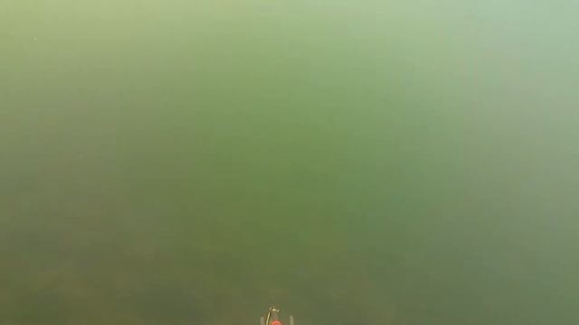 подводная охота без слов!!!!! смотреть онлайн