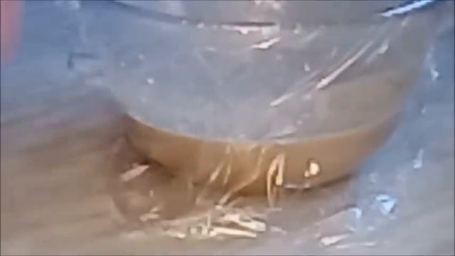 Астрономия и Космос