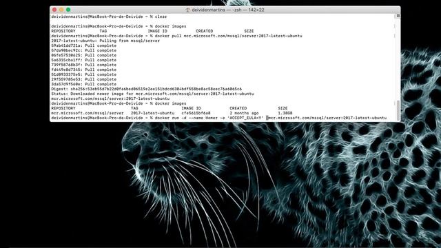 Rodando SQL Server no Mac utilizando Docker em poucos minutos смотреть онлайн