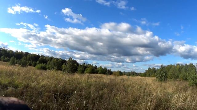 Охота на тетерева с легавой. Невезучее поле. смотреть онлайн