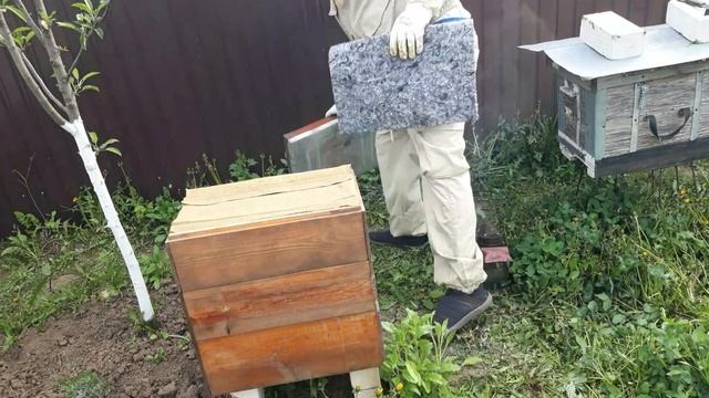 Накидываем магазины на улья. Шикарные отводки которые приносят мёд. смотреть онлайн