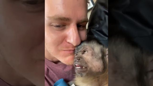 мартыш в шоке