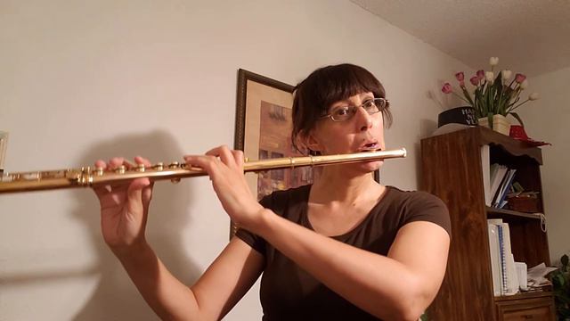 JS Bach - Sarabande in D minor - flute (432 Hz) смотреть онлайн