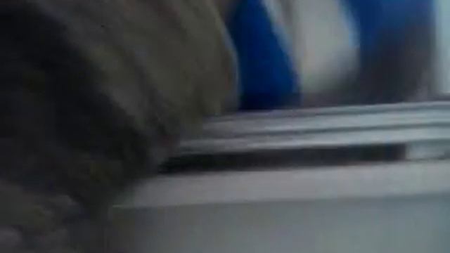 Что в моём холодильнике на даче! смотреть онлайн