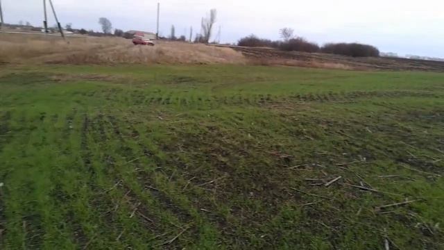 Пшеница посеянная разбрасывателем смотреть онлайн