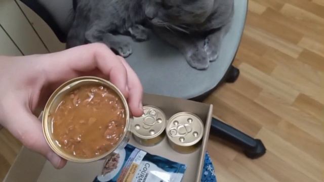 Purina Gourmet Gold  - влажный корм для котов .Обзор