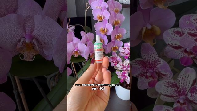 НВ-101 для орхидей 🌺 смотреть онлайн