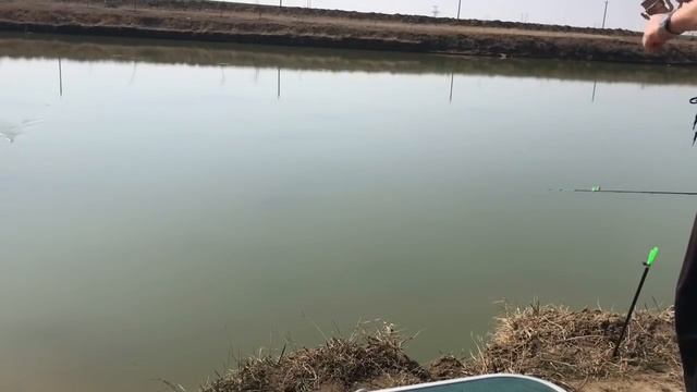 РЫБАЛКА В СТАВРОПОЛЬЕ смотреть онлайн