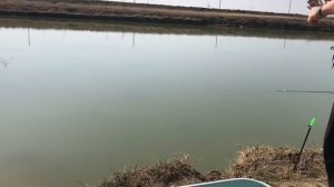 РЫБАЛКА В СТАВРОПОЛЬЕ