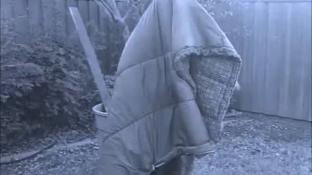 The Umbra смотреть онлайн