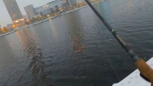 Крайняя рыбалка на спиннинг в этом году на реке ИсетьКрайняя рыбалка на спиннинг в этом году на реке