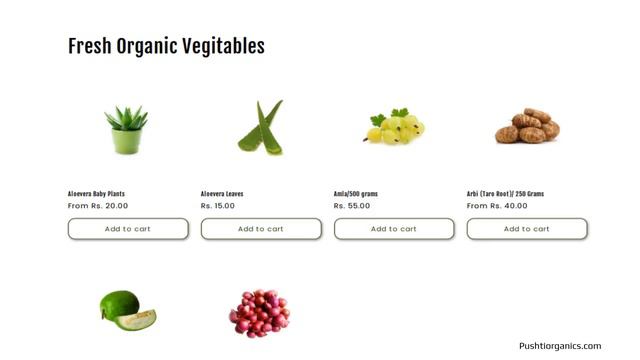 Organic Kiwi смотреть онлайн