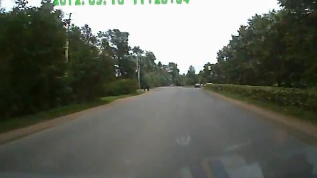 лиса в городе смотреть онлайн