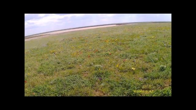 Зона степей смотреть онлайн