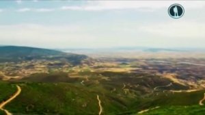 Планета собак. Греческие овчарки