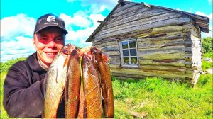 НАШЕЛ  И ЗАНОЧЕВАЛ  В ЗАБРОШЕННОЙ  ИЗБЕ ПРОМЫСЛОВИКОВ !!! КЛАССНАЯ РЫБАЛКА НА ХАРИУСА !!!