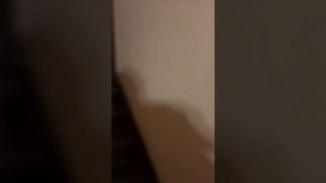 Дачный 5-2 смотреть онлайн