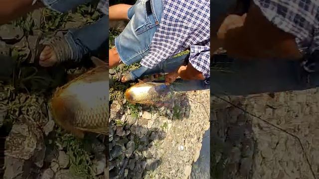 Рыбалка в астане смотреть онлайн