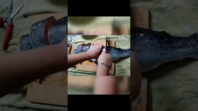 Застрахован24.рф ЕСБельский