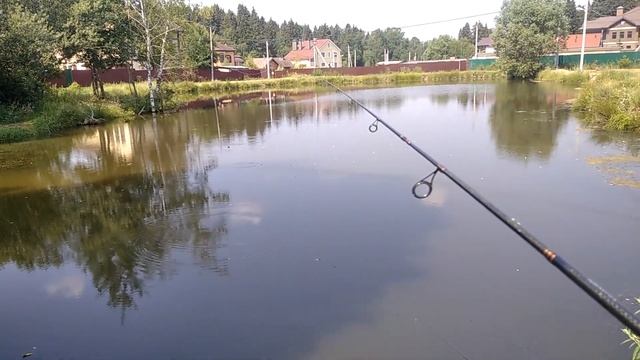 Рыбалка на поплавок. Веселые караси с дедом. ( +поклевки крупным планом) смотреть онлайн