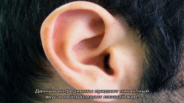 Кулинарный словарь - слова на 'у' смотреть онлайн