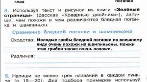 Окружающий мир. Рабочая тетрадь 2 класс 2 часть. ГДЗ стр. 17 №4
