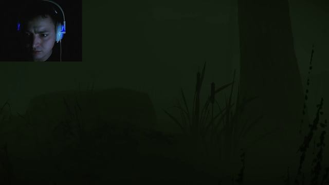 Стрим и полное прохождение The Cursed Forest смотреть онлайн