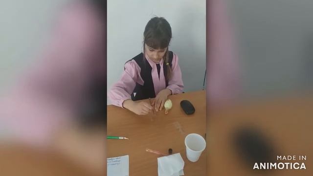 Мастер класс Применение электронного микроскопа смотреть онлайн