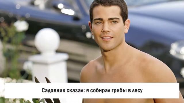 ЗРИТЕЛЬНЫЙ ТЕСТ смотреть онлайн