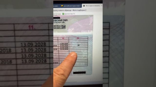 Бесплатные права на квадроцикл!!! #авто #квадроциклы #права #ву смотреть онлайн