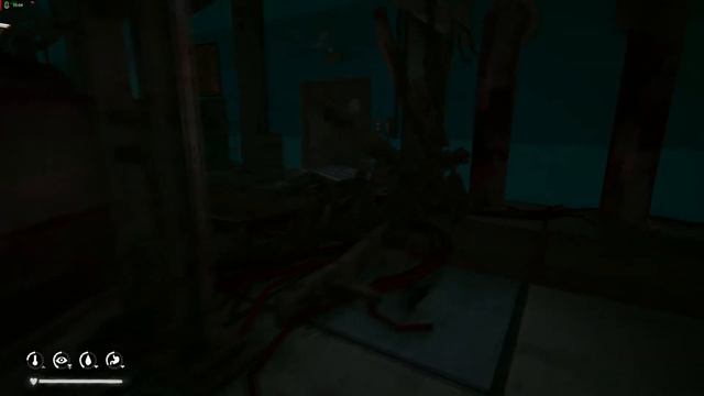 The Long Dark: Errant Pilgrim (Survival) смотреть онлайн