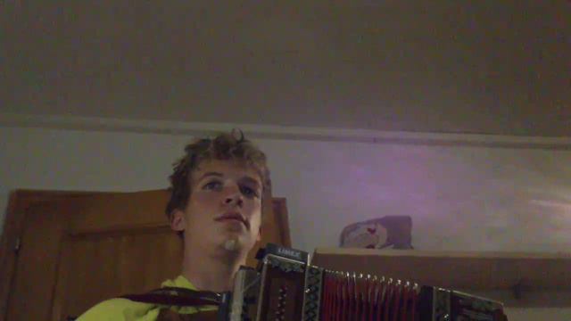 Wahnsinn. Steirische harmonika. Martin Huber смотреть онлайн