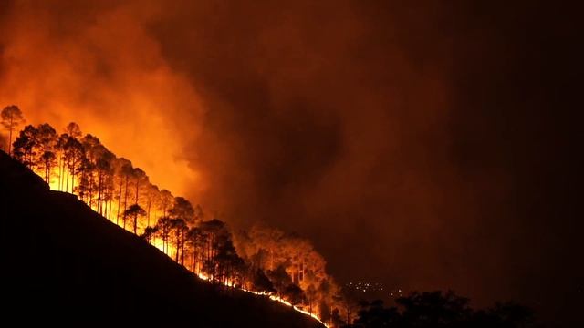 git training | Chapter 35: Soft, mixed, and hard resets in git смотреть онлайн