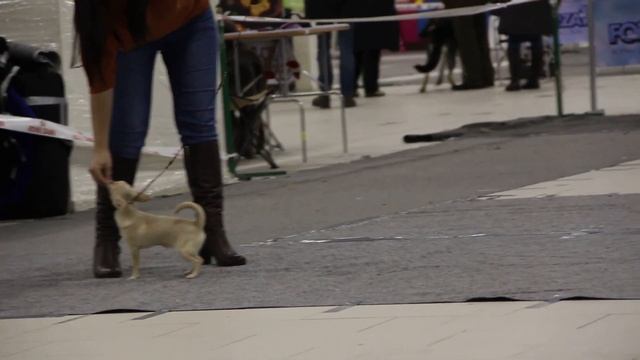 MVI 4913 смотреть онлайн