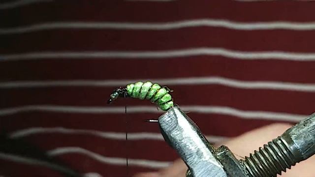 изготовление мушки для хариуса пупа ручейника (мо) fly tying for grayling caddis pupa (mo) смотреть онлайн