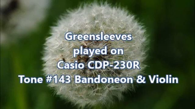 Casio CDP-230R Tone #143 Bandoneon & Violin смотреть онлайн