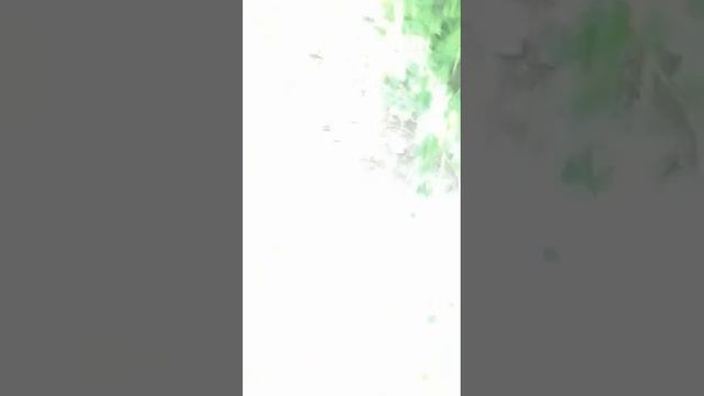 Строим замок из картона 2 часть смотреть онлайн