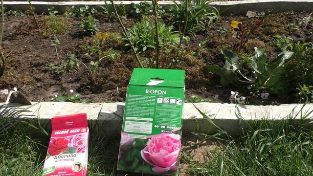 Подкормка роз весной Обзор минеральных удобрений и правила их внесения в почву смотреть онлайн