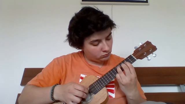 Mr Moustafa  - The Grand Budapest Hotel Ukulele Cover