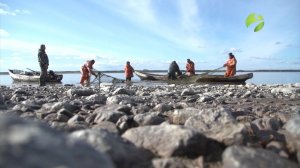С полем! "Сети, бударка и немного удачи"