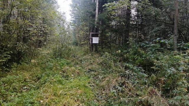 Тест мелкой дроби 12-13 номера. дунст. смотреть онлайн