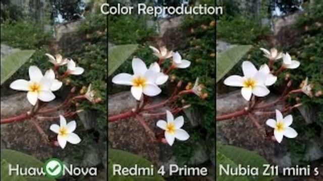 Nubia Z11 MINI S, best Camera phone смотреть онлайн