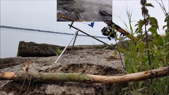 Qualitycarp: uit de oude doos: Ramon van Zundert & Kevin Schopenhouer смотреть онлайн