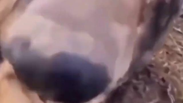 Бип....... АААААА смотреть онлайн