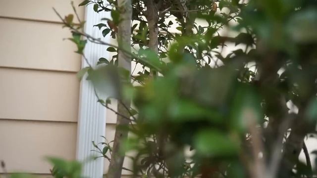 Sony a5000 Camera Test смотреть онлайн