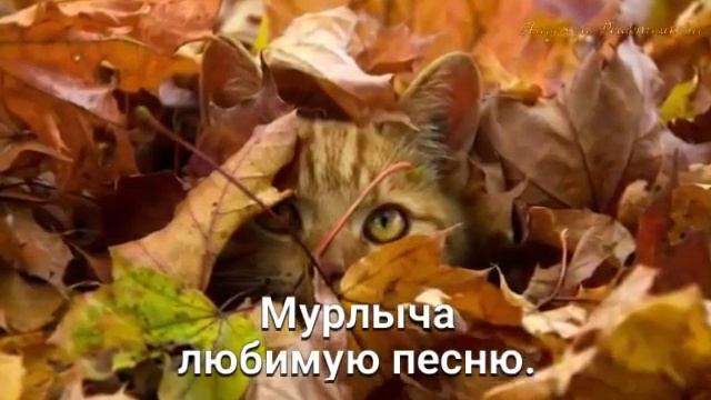 19 декабря 2018 г. смотреть онлайн