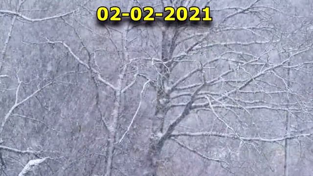 Зеркальная дата 2 февраля 2021 года. смотреть онлайн