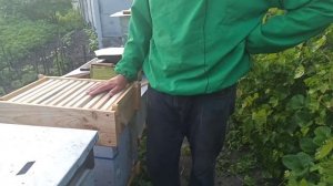 Как получать сотовый мед на пасеке. Универсальный восьмирамочный улей рамки для