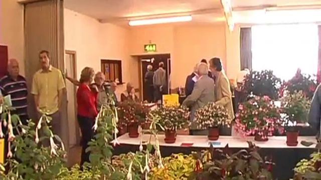 The British Fuchsia Society National NORTHERN Show 2012 смотреть онлайн