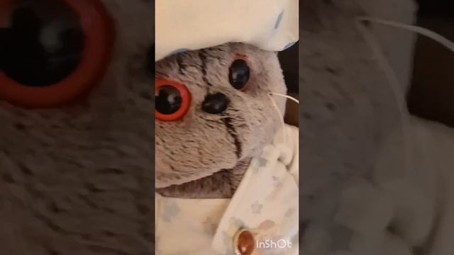 В гостях у Себастьяна ураа смотреть онлайн